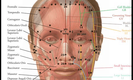 Acupuncture Center Toronto - Cosmetic acupuncture points