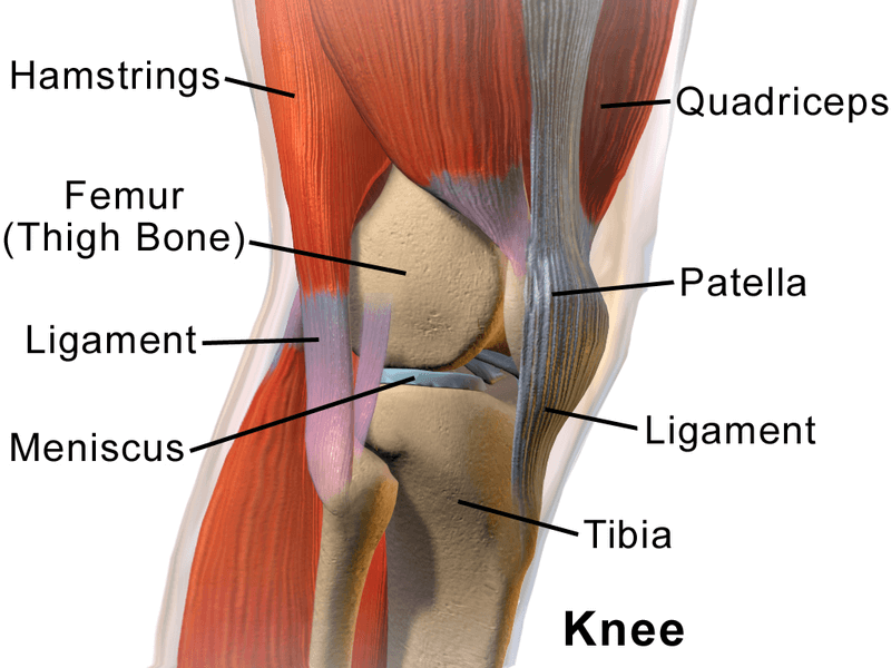 Acupuncture for knee pain and arthritis at Acupuncture Center Toronto