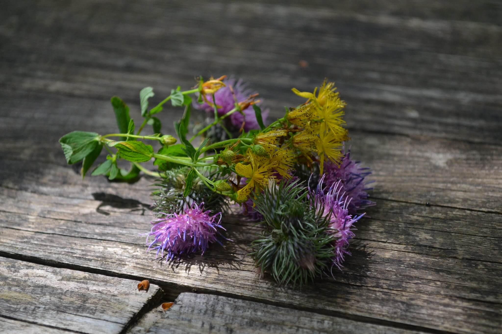 Chinese herbs and herbalists in Toronto for skin and acne at Acupuncture Center Toronto